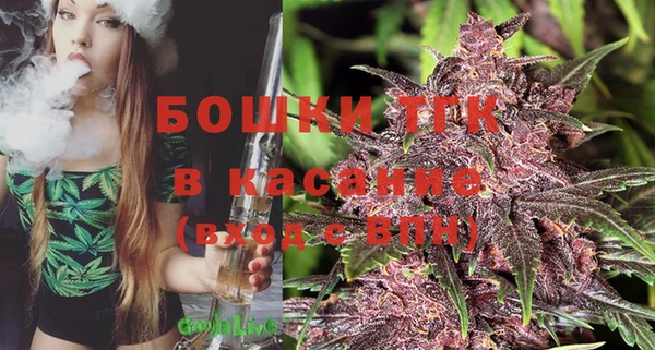 крисы Богородицк